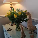 招待所 墨尔本宾馆 4*